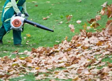 affordable seasonal cleanups Buffalo NY