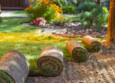 sod installation near me Buffalo NY
