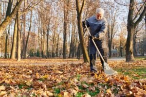 Affordable Seasonal Cleanups Buffalo NY
