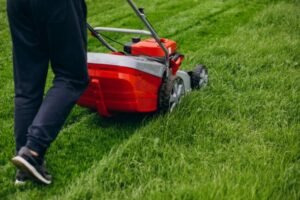 Lawn Care Services in Buffalo NY