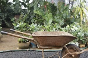 Sod and Mulch Installation in Buffalo NY